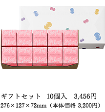 ギフトセット 10個入