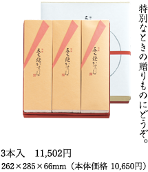 3本入　262×285×66mm