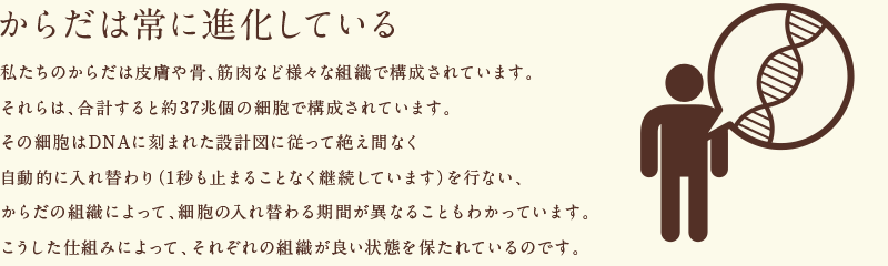 からだは常に進化している