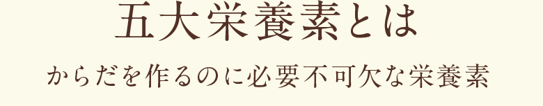 五大栄養素について からだを作るのに必要不可欠な栄養素